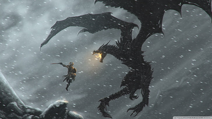 black dragon illustration, The Elder Scrolls V: Skyrim, 3D, anaglyph 3D, HD wallpaper