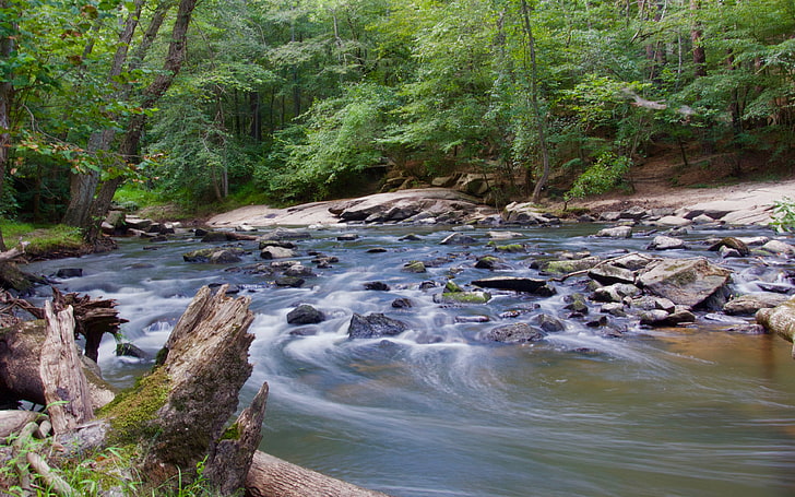 Mountain River Stream In Forest Riverbed Gray Rocks Dry Wood Green Forest Trees Hd Wallpaper 3840×2400, HD wallpaper