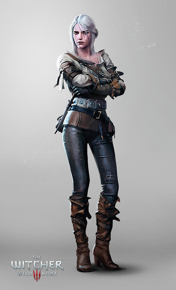 The Witcher 3 Wild Hunt character, The Witcher Wild Hunt character