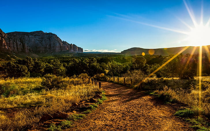 The Sun Also Rises, rock formation with trees photo, Arizona, HD wallpaper