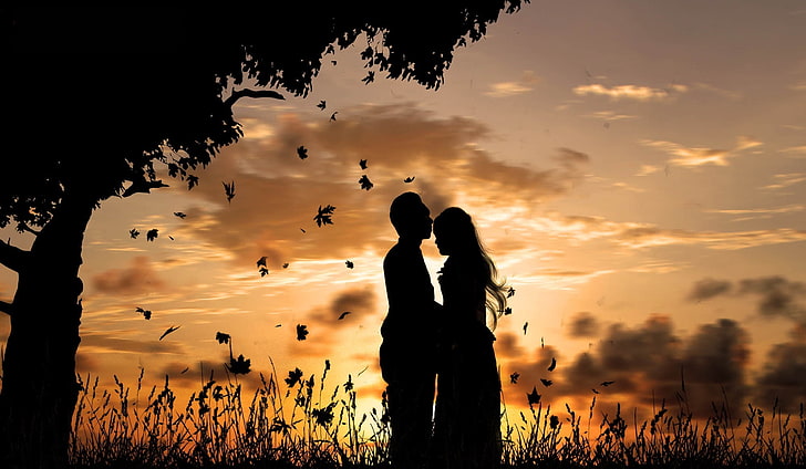 man and woman standing beside tree silhouette photo, the sky, HD wallpaper