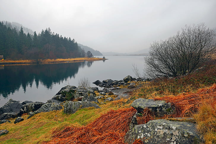 Snowdonia, Wales, Lake, sky, mist, mountains, rocks, Autumn, grass, HD wallpaper