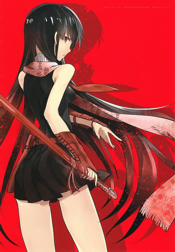 Akame Ga Kill Akame digital wallpaper, Akame ga Kill!, anime girls