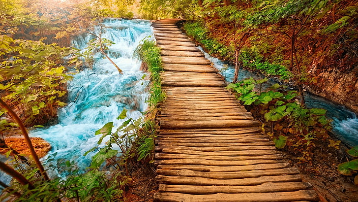 pathway and body of water digital wallpaper, bridge, wood, forest