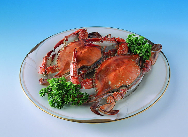 two crabs, plate, greens, seafood, claw, gourmet, prepared Crab, HD wallpaper