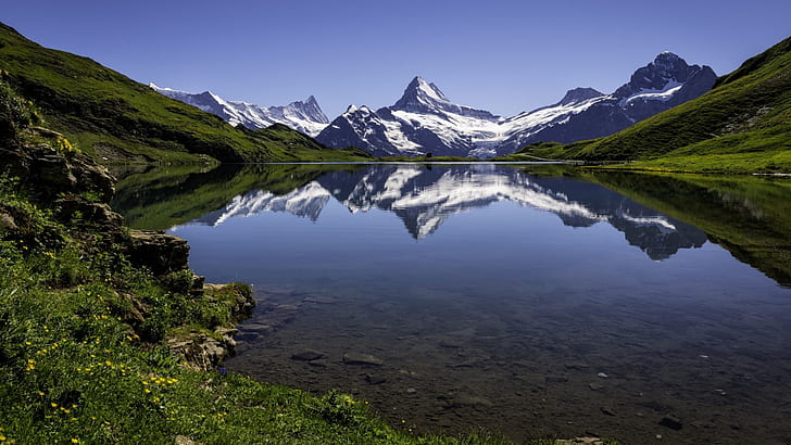 mountain lake, lake bachalpsee, bachsee, glacial lake, jungfrau, HD wallpaper