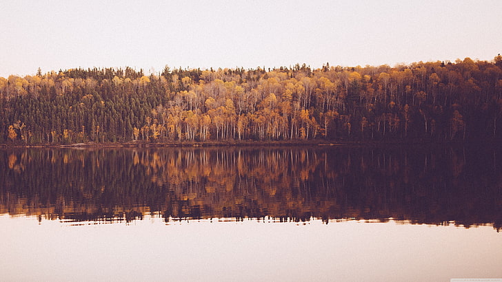 treeline by body of water photography, landscape, forest, lake, HD wallpaper
