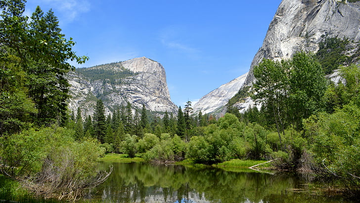 forest near river and mountain, Yosemite, 5k, 4k wallpaper, 8k