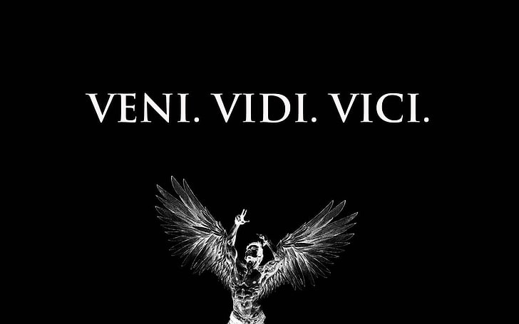 Zyzz Veni Vidi Vici, monochrome, angel, typography, black background, HD wallpaper