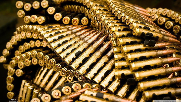 ammunition, water drops, close-up, no people, gold colored, HD wallpaper