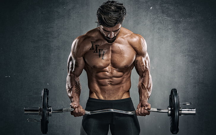 Gym arms biceps body bodybuilding packs six tattoo HD phone  wallpaper  Peakpx