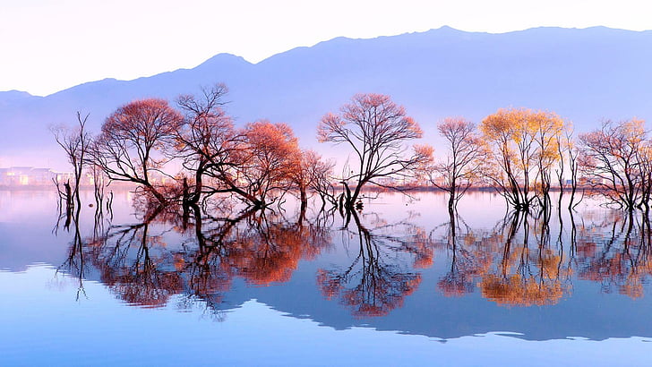 reflection, water, tree, pond, lake, autumn, valley, nature