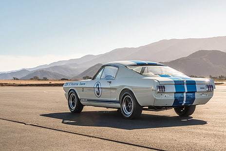Vehicles Ford Mustang Shelby GT350R 4k Ultra HD Wallpaper