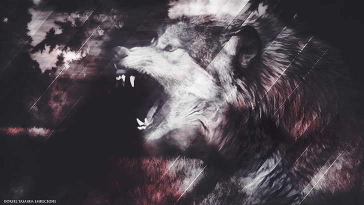 brown and white wolf wallpaper, Lycan, animal, mammal, animal themes
