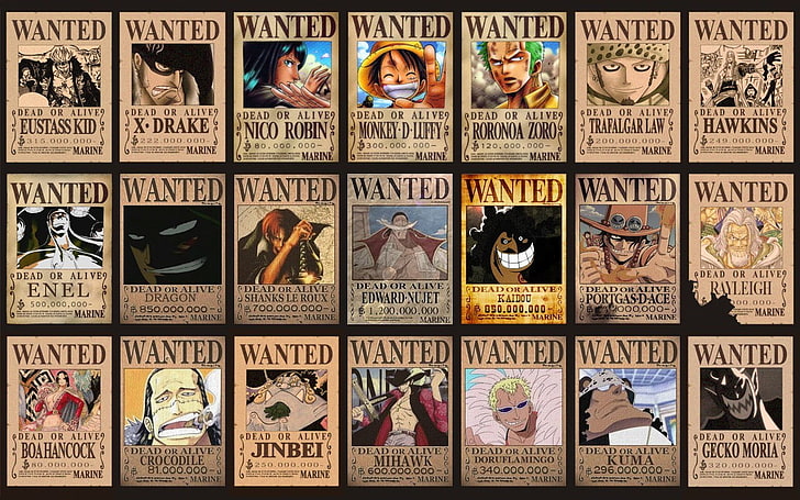 Anime Wallpaper One Piece Wanted gambar ke 10