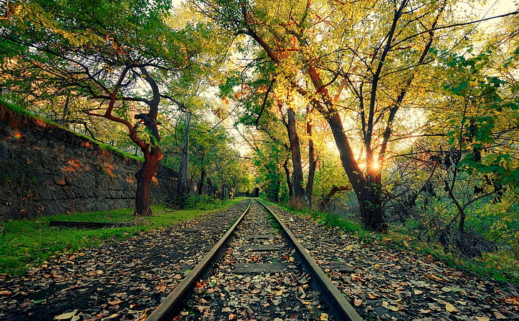 Armenia, Yerevan, black steel railway, Seasons, Autumn, Green HD wallpaper