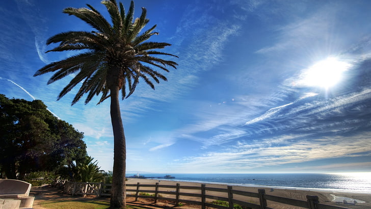 beach, clouds, palm trees, sea, landscape, sky, tropical climate, HD wallpaper