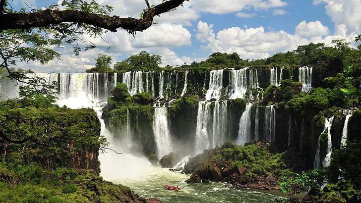 waterfall, nature, iguazu falls, nature reserve, iguazu national park, HD wallpaper