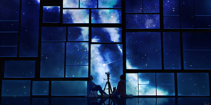 starry night digital wallpaper, tamagosho, sky, stars, telescope