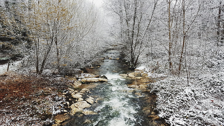river between snow covered forest, nature, winter, landscape