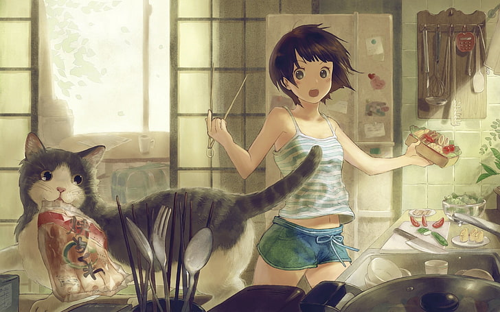 girl and cat anime cover, room, pets, cute, domestic Cat, women, HD wallpaper
