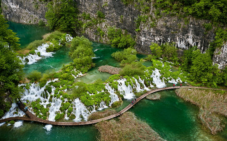 Croatia, Plitvice Lakes, National park, green trees near body of water