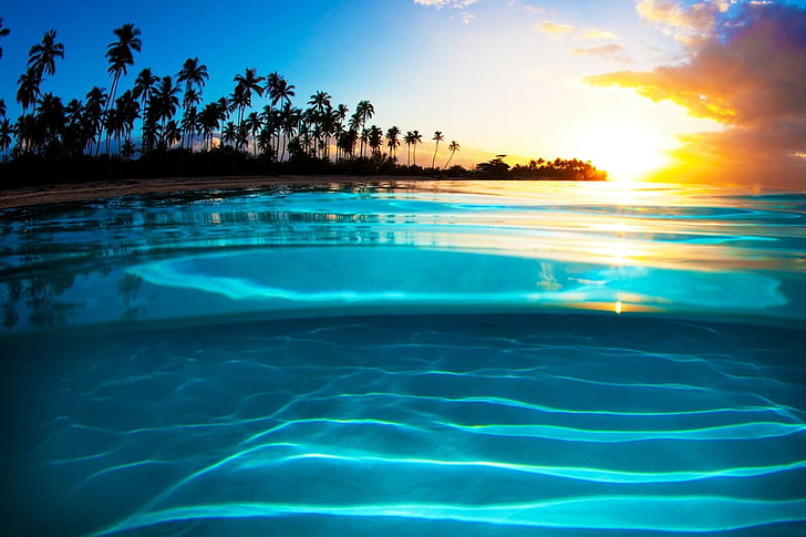 crystal clear body of water, liquid, sunset, sea, beach, palm trees, HD wallpaper