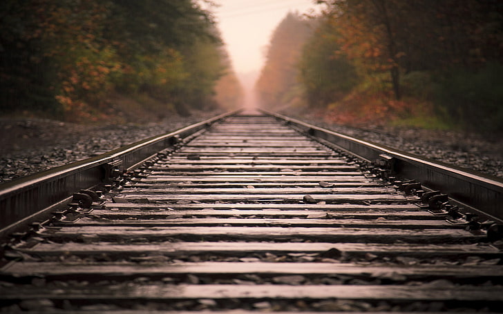 grey railroad, photography, railway, trees, depth of field, long road