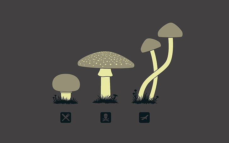 minimalistic drugs fly mushrooms psychedelic poison magic psilocybe fun art 1680x1050  Art Minimalistic HD Art