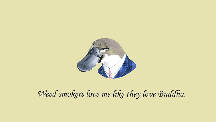 weed smokes love me life they love buddha post, minimalism, simple background, HD wallpaper