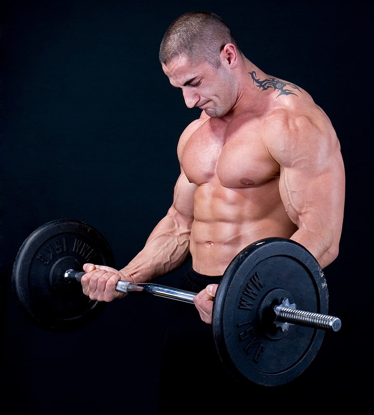 bodybuilding  computer  download, strength, muscular build, HD wallpaper
