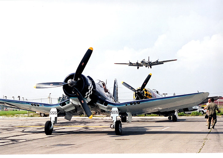 two white-and-blue aircrafts, airplane, Vought F4U Corsair, Republic P-47 Thunderbolt