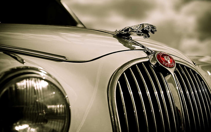 vehicle, car, muscle cars, Jaguar, vintage, motor vehicle, transportation, HD wallpaper