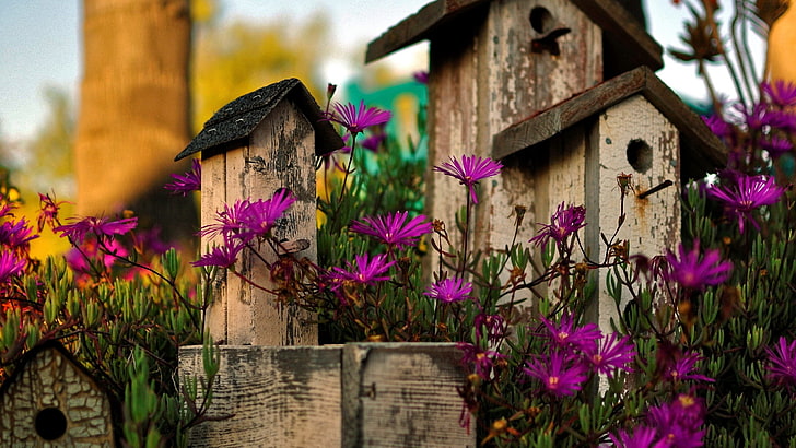 three brown wooden birdhouses, flowers, photography, wood - material