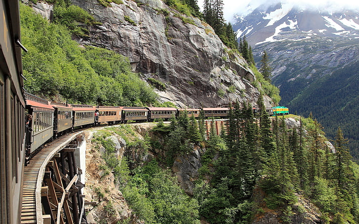 brown train, forest, alaska, mountain, skagway, white pass railroad