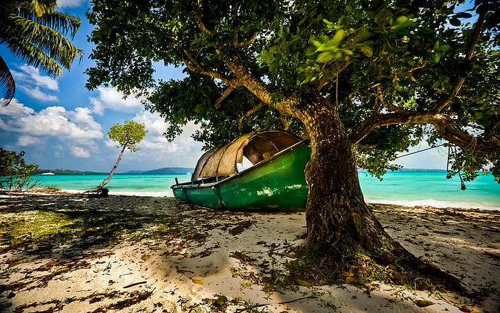 green canoe, nature, landscape, beach, island, tropical, India