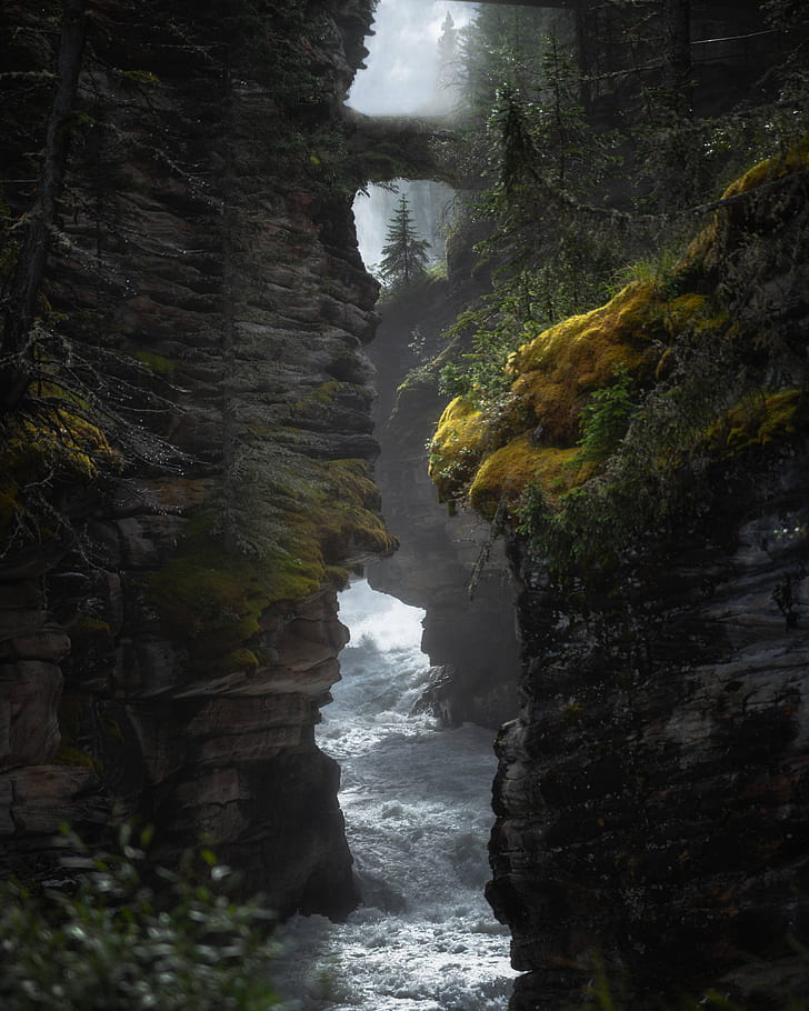Athabasca Falls, waterfall, Jasper National Park, cliff, Canada, HD wallpaper