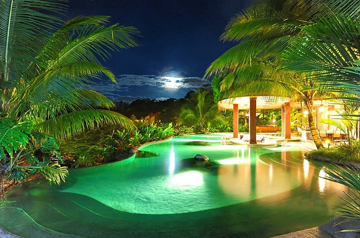 Moonlit Green Lagoon Pool, green palm tree, beautiful, moonlight