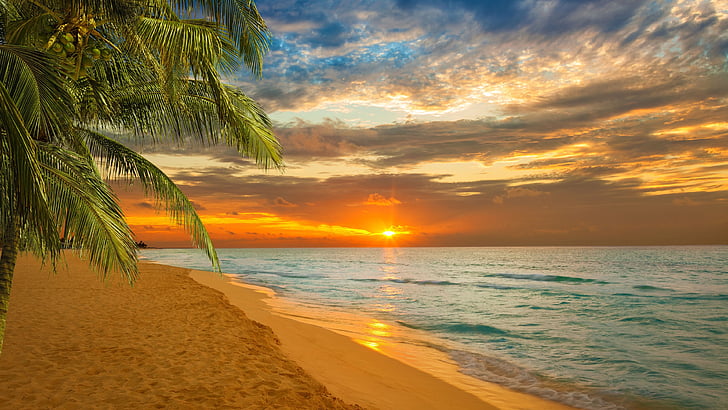 ocean, sand, sandy beach, kovalam, india, kerala, palm, evening