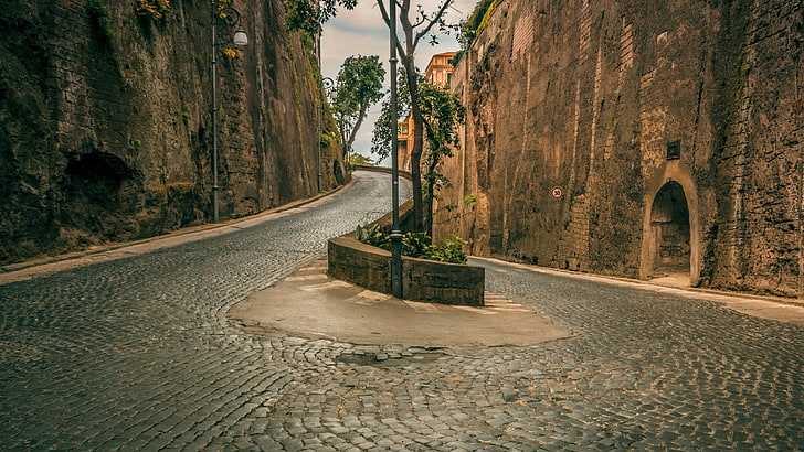 green leafed tree, street, cobblestone, road, Sorrento, Italy, HD wallpaper