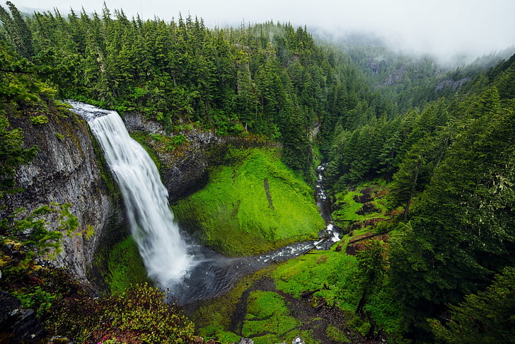 green trees, waterfall, USA, nature, landscape, Salt Creek Falls