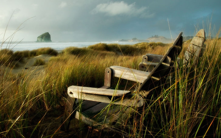 two brown wooden armchairs, nature, beach, sea, grass, sky, land