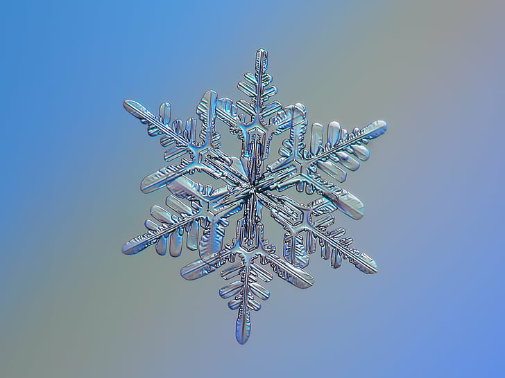 silver Snowflakes, n.1, real, background, nature, photo, abstract, HD wallpaper