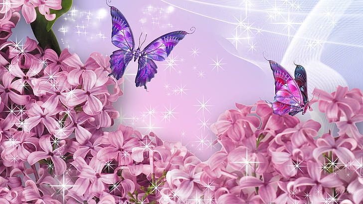 Pink Lilacs, firefox persona, stars, lavender, flowers, silk, HD wallpaper