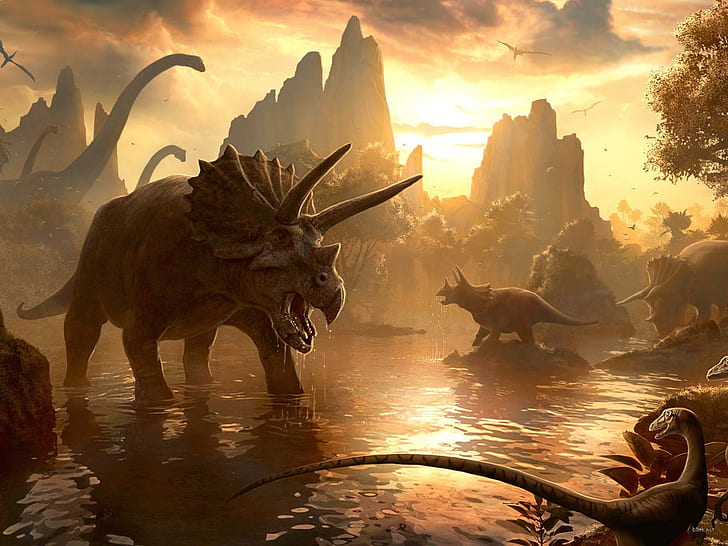 Triceratops, prhistoric, dinosaurs, cretaceous, animals, HD wallpaper