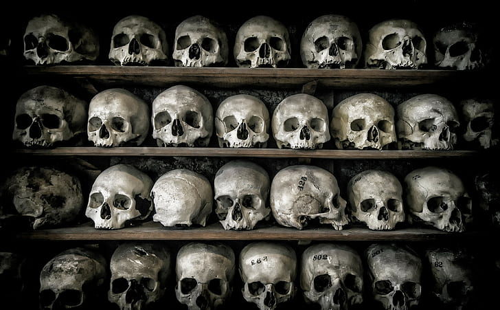 death, skull, bones, human skeleton, human skull, human bone