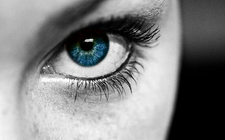 500+ Beautiful Eye Pictures [HD] | Download Free Images on Unsplash