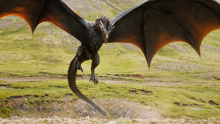 photo of brown dragon flying near green mountain, Game of Thrones