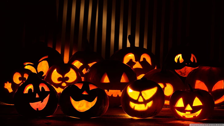 jack o lantern lot, Halloween, food and drink, pumpkin, jack o' lantern, HD wallpaper