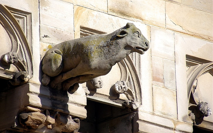 albi cathedral, sculpture, art and craft, statue, animal representation, HD wallpaper